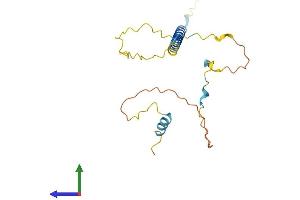 AlphaFold protein structure predicition of Mouse Recombinant Trat1 Protein, UniprotID Q3UU67