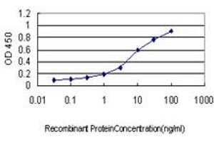 Detection limit for recombinant GST tagged GUCY2D is approximately 0. (GUCY2D anticorps  (AA 521-630))