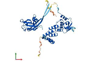 AlphaFold protein structure predicition of Mouse Recombinant Spop Protein, UniprotID Q6ZWS8