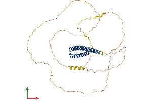 AlphaFold protein structure predicition of Mouse Recombinant Pphln1 Protein, UniprotID Q8K2H1