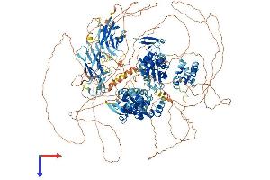 AlphaFold protein structure predicition of Mouse Recombinant Hecw2 Protein, UniprotID Q6I6G8