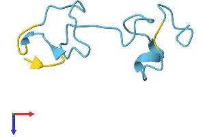 AlphaFold protein structure predicition of Human Recombinant MT1F Protein, UniprotID P04733
