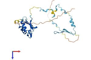 AlphaFold protein structure predicition of Mouse Recombinant Rcan3 Protein, UniprotID Q9JKK0