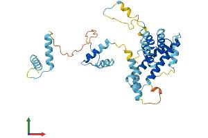 AlphaFold protein structure predicition of Mouse Recombinant Prpf18 Protein, UniprotID Q8BM39