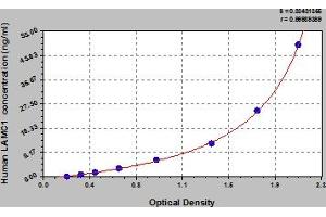 Typical Standard Curve (Laminin gamma 1 Kit ELISA)