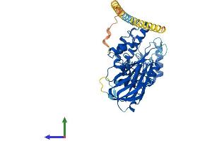AlphaFold protein structure predicition of Human Recombinant MGAT4C Protein, UniprotID Q9UBM8