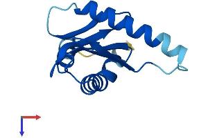 AlphaFold protein structure predicition of Human Recombinant LAMTOR2 Protein, UniprotID Q9Y2Q5