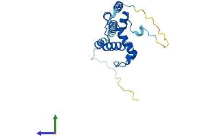 AlphaFold protein structure predicition of Human Recombinant NOP16 Protein, UniprotID Q9Y3C1