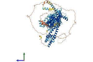 AlphaFold protein structure predicition of Mouse Recombinant Trpc5 Protein, UniprotID Q9QX29