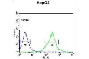 AFMID Antibody (N-term) (ABIN653122 and ABIN2842702) flow cytometric analysis of HepG2 cells (right histogram) compared to a negative control cell (left histogram). (AFMID anticorps  (N-Term))