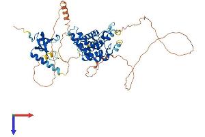 AlphaFold protein structure predicition of Mouse Recombinant Msl3 Protein, UniprotID Q9WVG9