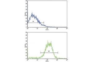 Flow cytometric analysis of NCI-H292 cells using E Cadherin antibody (bottom histogram) compared to a negative control cell (top histogram).