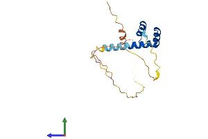 AlphaFold protein structure predicition of Human Recombinant RHOXF1 Protein, UniprotID Q8NHV9