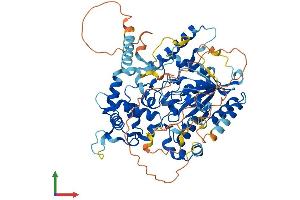 AlphaFold protein structure predicition of Mouse Recombinant Gnl1 Protein, UniprotID P36916