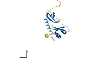 AlphaFold protein structure predicition of Human Recombinant CBX5 Protein, UniprotID P45973