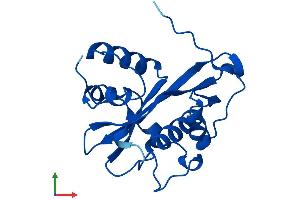 AlphaFold protein structure predicition of Mouse Recombinant Gnpnat1 Protein, UniprotID Q9JK38