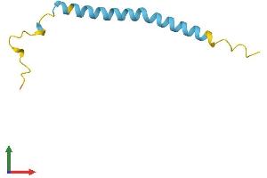 AlphaFold protein structure predicition of Human Recombinant PRNP Protein, UniprotID F7VJQ1