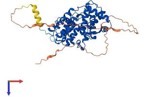 AlphaFold protein structure predicition of Human Recombinant CCNB2 Protein, UniprotID O95067