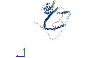 AlphaFold protein structure predicition of Human Recombinant CLUAP1 Protein, UniprotID Q96AJ1