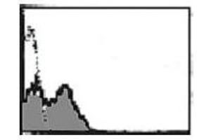 Flow Cytometry (FACS) image for anti-TNF Receptor Superfamily, Member 6 (FAS) antibody (ABIN1106613)
