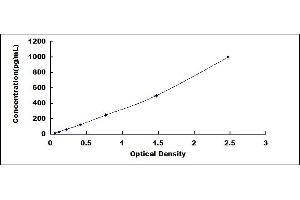 Typical standard curve (NEXN Kit ELISA)