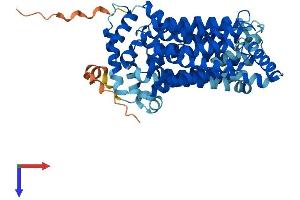 AlphaFold protein structure predicition of Mouse Recombinant Slc2a7 Protein, UniprotID P0C6A1