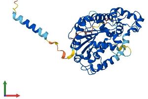 AlphaFold protein structure predicition of Human Recombinant CHST6 Protein, UniprotID Q9GZX3