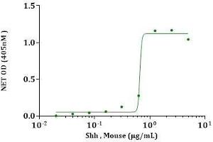 Shh, Mouse induced alkaline phosphatase production in CCL-226 cells.