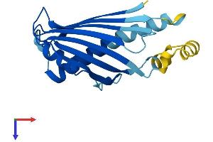 AlphaFold protein structure predicition of Human Recombinant PRELID2 Protein, UniprotID Q8N945
