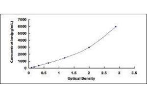 Matrix Metallopeptidase 14 (Membrane-inserted) (MMP14) ELISA Kit
