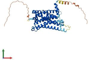 AlphaFold protein structure predicition of Human Recombinant MTNR1B Protein, UniprotID P49286