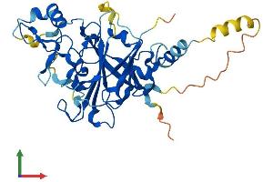 AlphaFold protein structure predicition of Human Recombinant PDCD2 Protein, UniprotID Q16342