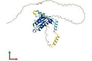AlphaFold protein structure predicition of Mouse Recombinant Gem Protein, UniprotID P55041
