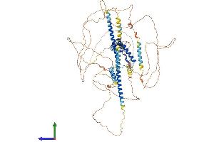 AlphaFold protein structure predicition of Mouse Recombinant Sox6 Protein, UniprotID P40645