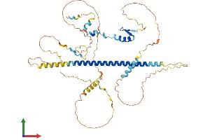 AlphaFold protein structure predicition of Human Recombinant ZC2HC1C Protein, UniprotID Q53FD0