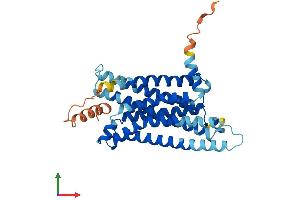 AlphaFold protein structure predicition of Human Recombinant MC5R Protein, UniprotID P33032