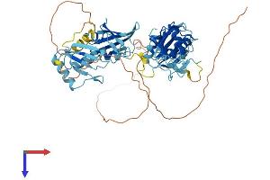 AlphaFold protein structure predicition of Human Recombinant PTBP2 Protein, UniprotID Q9UKA9