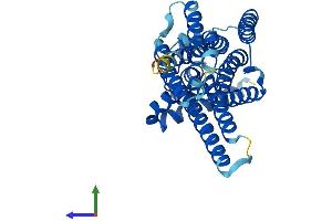 AlphaFold protein structure predicition of Mouse Recombinant G6pc1 Protein, UniprotID P35576