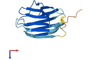 AlphaFold protein structure predicition of Human Recombinant GRIFIN Protein, UniprotID A4D1Z8