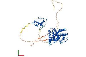 AlphaFold protein structure predicition of Human Recombinant RARA Protein, UniprotID P10276