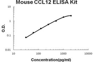 Mouse CCL12/MCP5 PicoKine ELISA Kit standard curve (Ccl12 Kit ELISA)