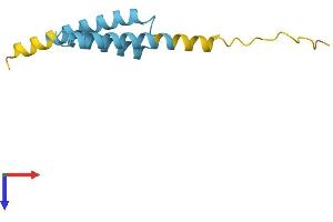 AlphaFold protein structure predicition of Human Recombinant LRRC37A5P Protein, UniprotID Q49AS3
