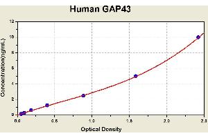 Diagramm of the ELISA kit to detect Human GAP43with the optical density on the x-axis and the concentration on the y-axis. (GAP43 Kit ELISA)