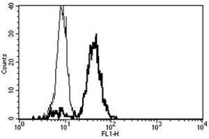 Flow Cytometry (FACS) image for anti-CD86 (CD86) antibody (FITC) (ABIN1106595) (CD86 anticorps  (FITC))