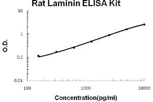 Rat Laminin PicoKine ELISA Kit standard curve (Laminin Kit ELISA)