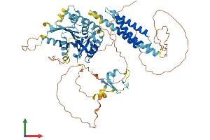 AlphaFold protein structure predicition of Mouse Recombinant Rnf112 Protein, UniprotID Q96DY5