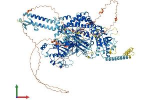AlphaFold protein structure predicition of Mouse Recombinant Msh6 Protein, UniprotID P54276