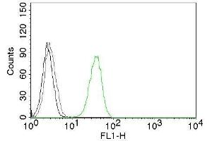 Flow Cytometric analysis of human CD31 on Jurkat cells.