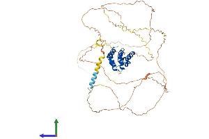 AlphaFold protein structure predicition of Human Recombinant MAVS Protein, UniprotID Q7Z434