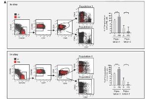 A subset of Tem-like cells sorted based on surface markers defining clusters 12 and 13 are highly susceptible to HIV infection.